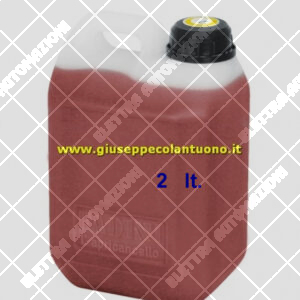 OLIO IDRAULICO TANICA DA 2LT Agip A22