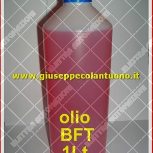 OLIO ORIGINALE ENI AGIP ARNICA 22 1Lt